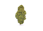Cannapunch CBD Greenhouse primée