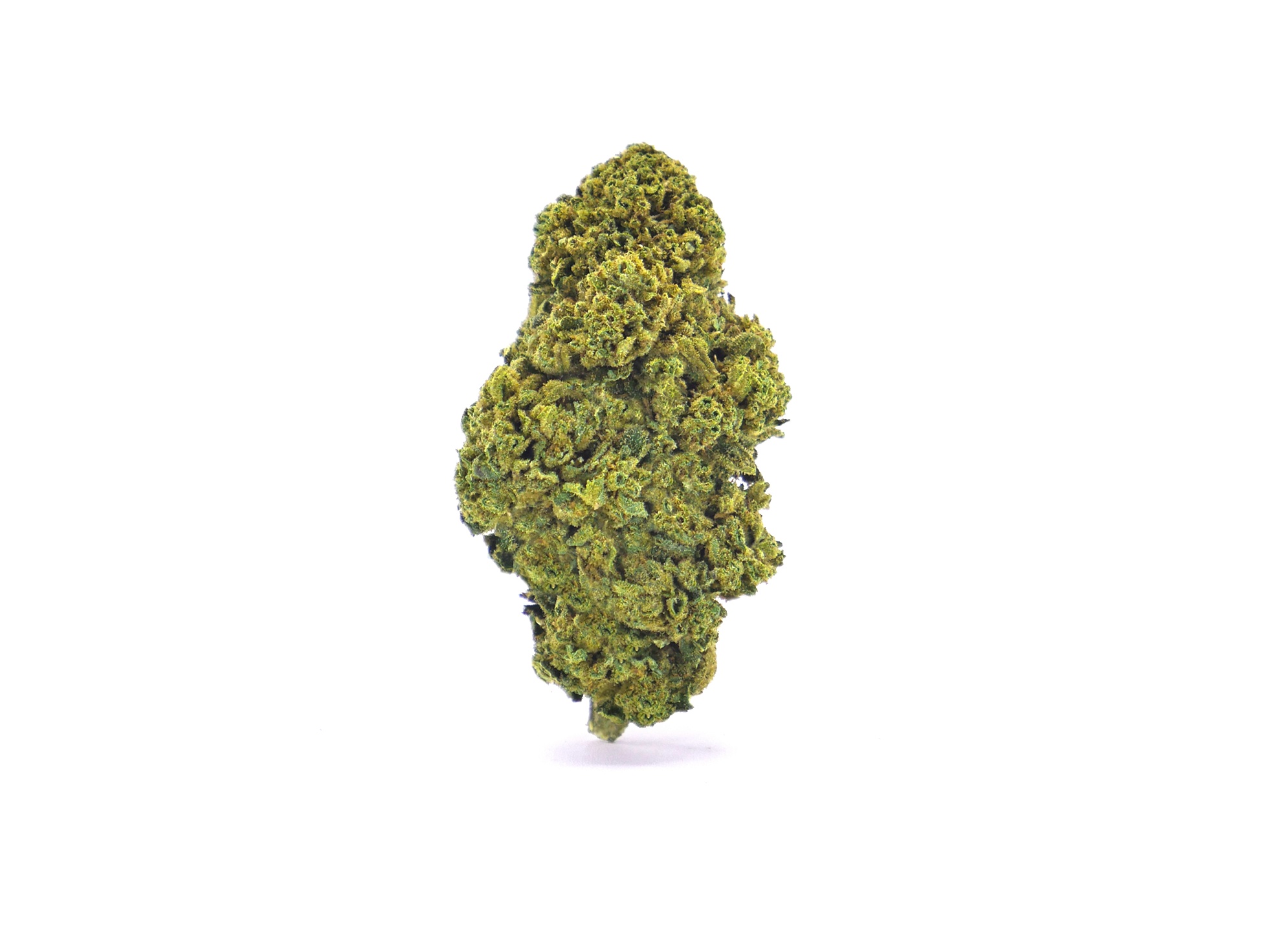 Cannapunch CBD Greenhouse primée