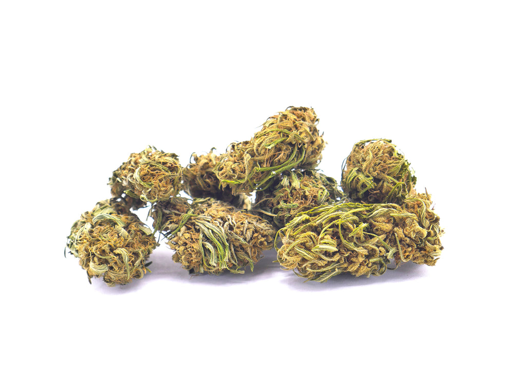 Gelato CBG Outdoor
