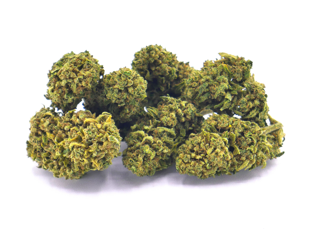 Blue Dream CBD Greenhouse