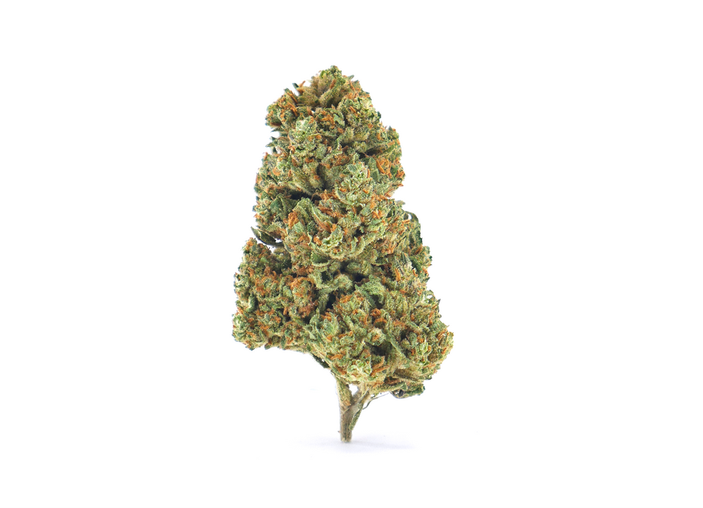 Mandarine Crush CBD Indoor