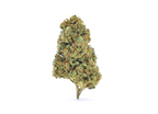 Mandarine Crush CBD Indoor