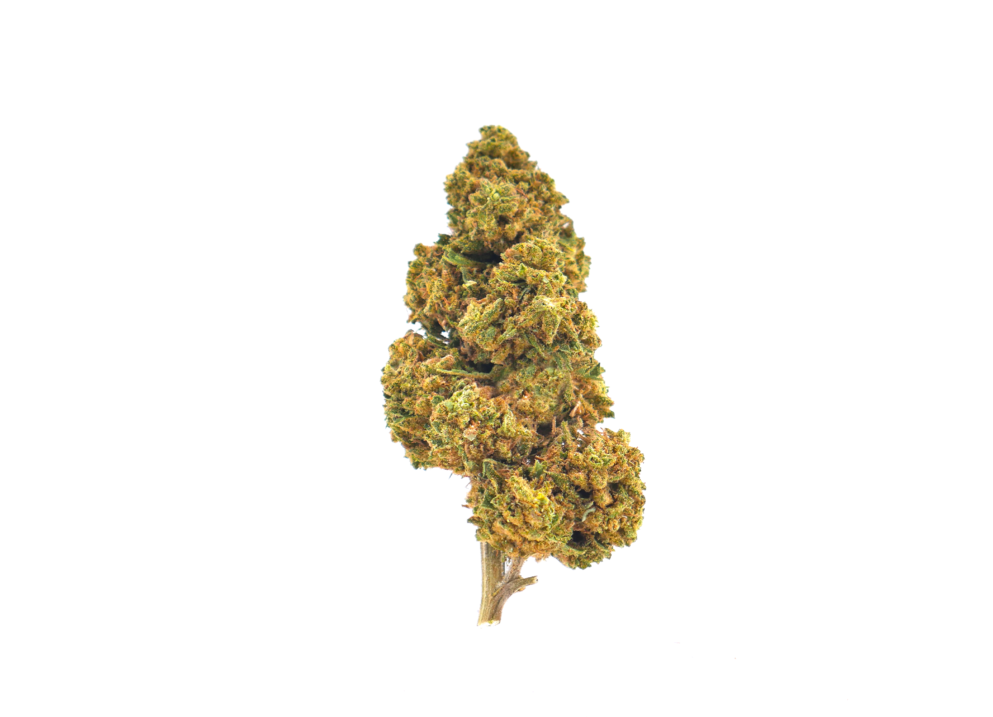 Sour Tsunami CBD Greenhouse