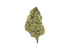 Berry Pie CBD Indoor