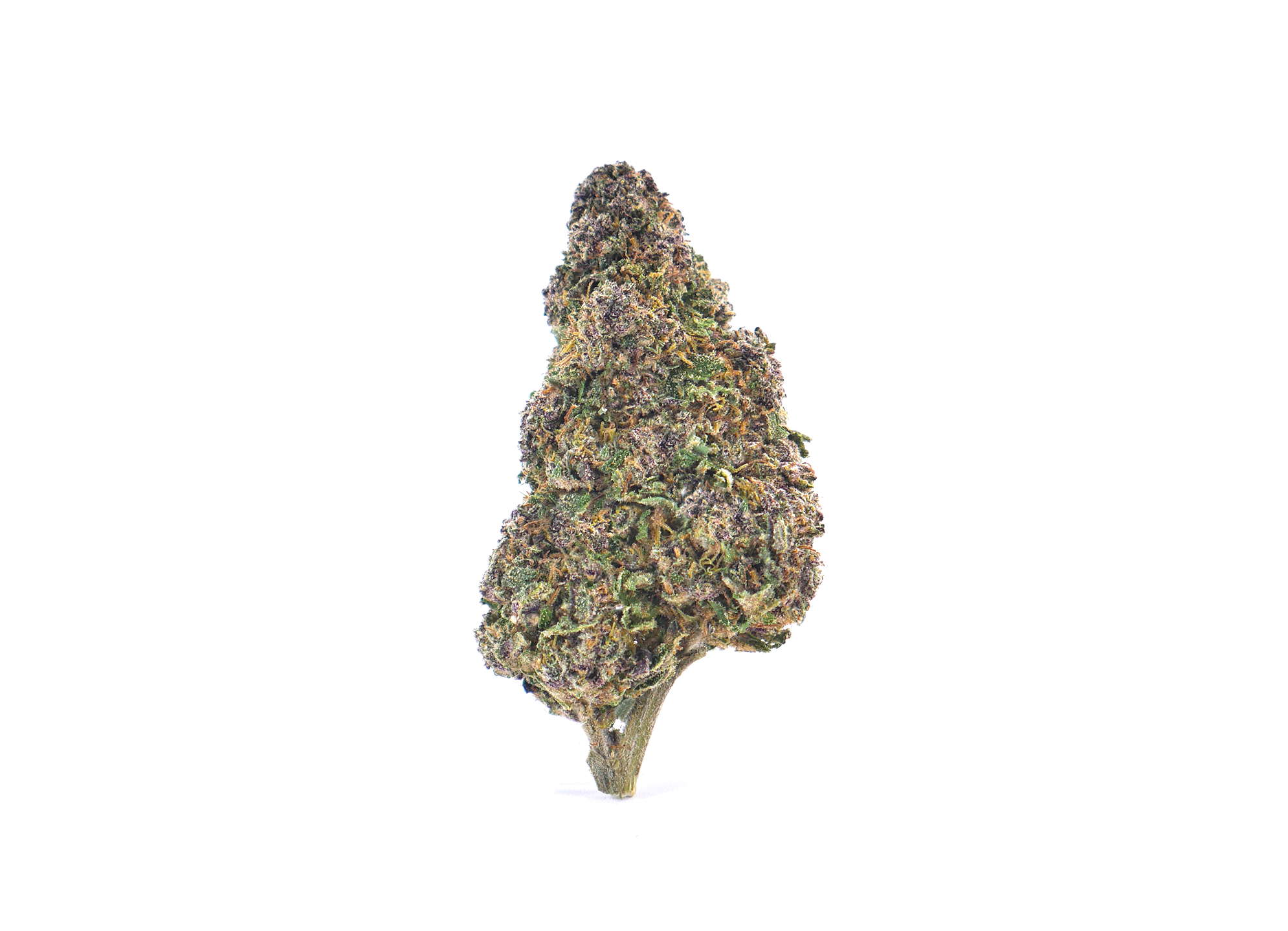 Sapphire Kush CBD Greenhouse