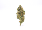 Silver Haze CBD Indoor US