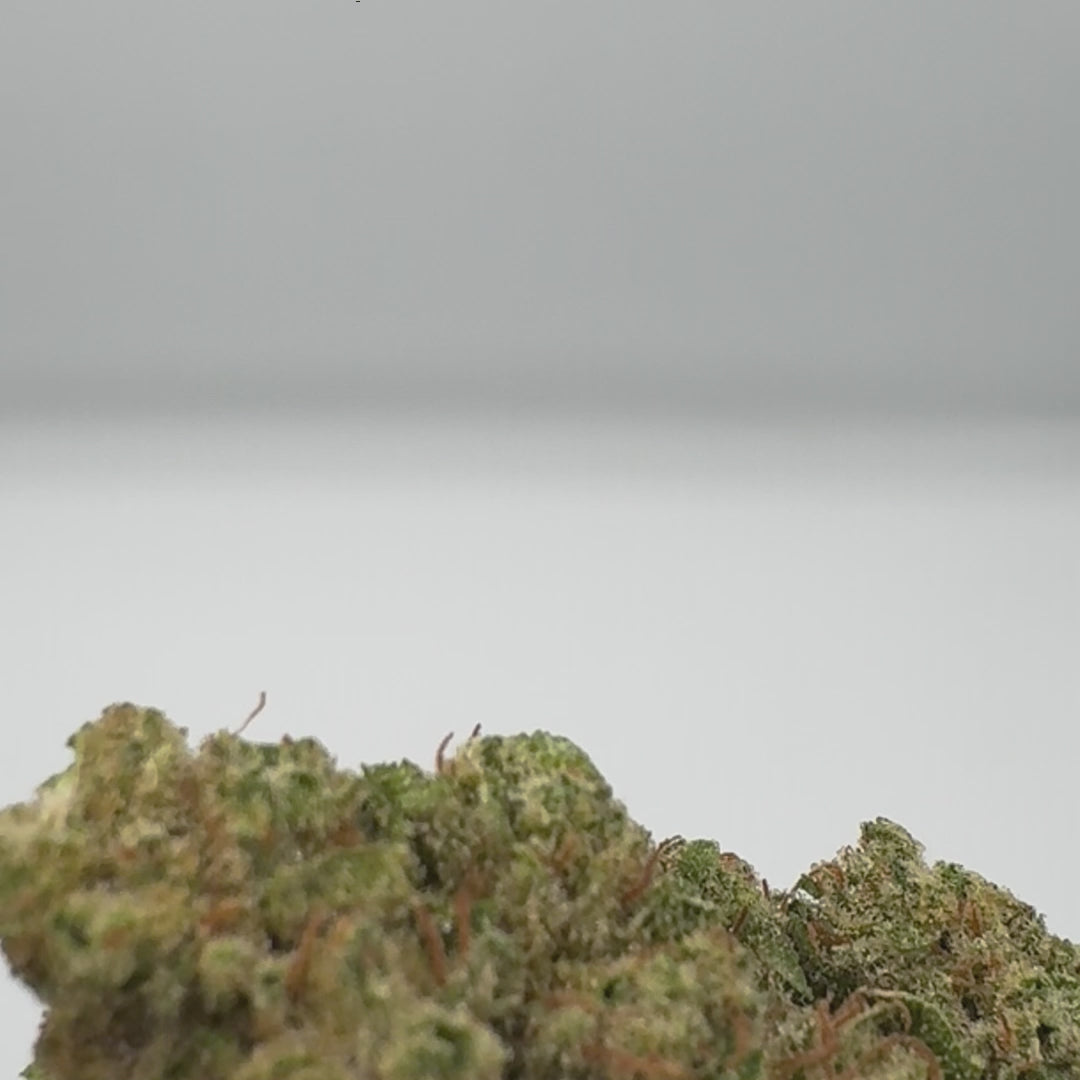 Cherry Pie CBD Indoor