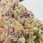 Blackberry OG CBD Indoor