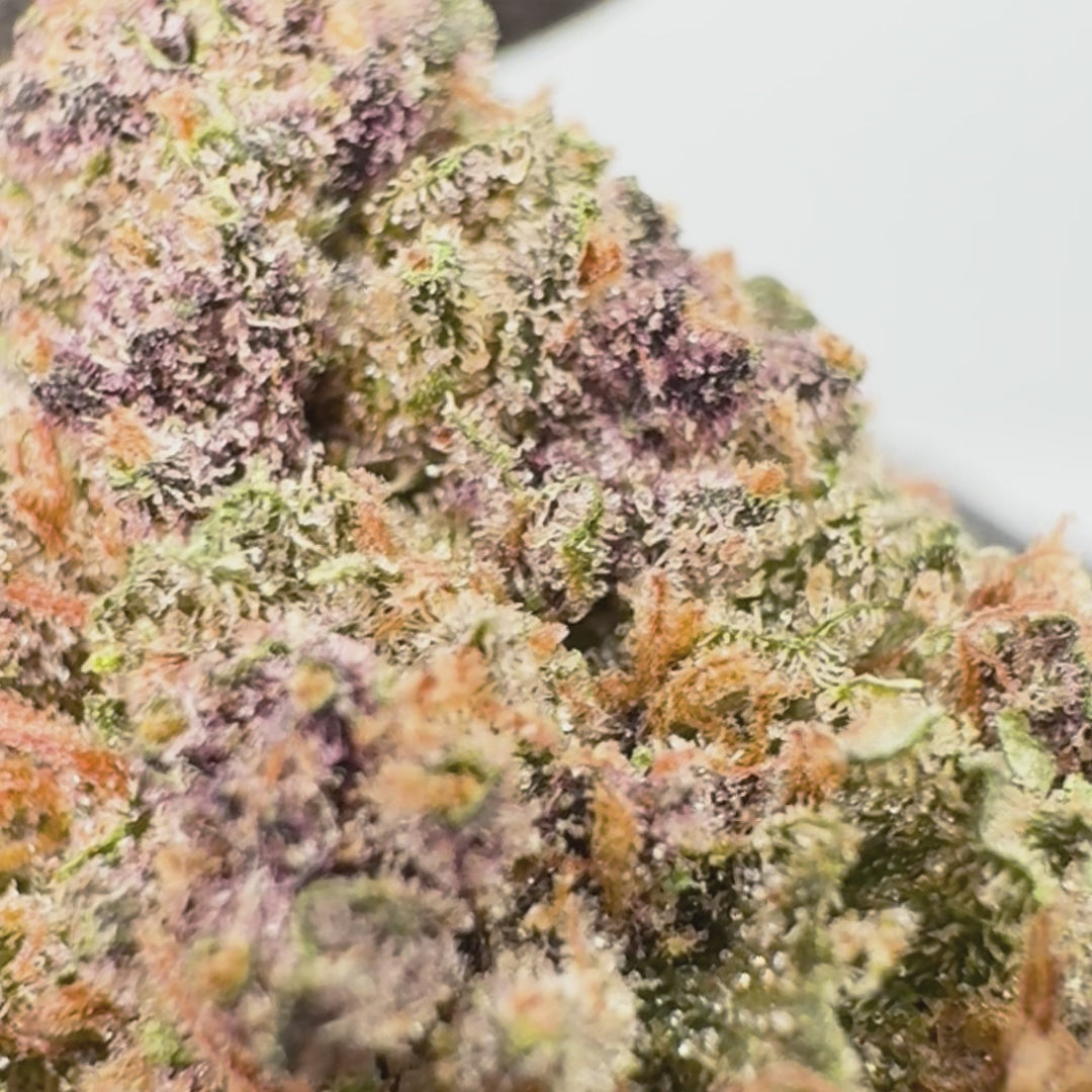 Blackberry OG CBD Indoor