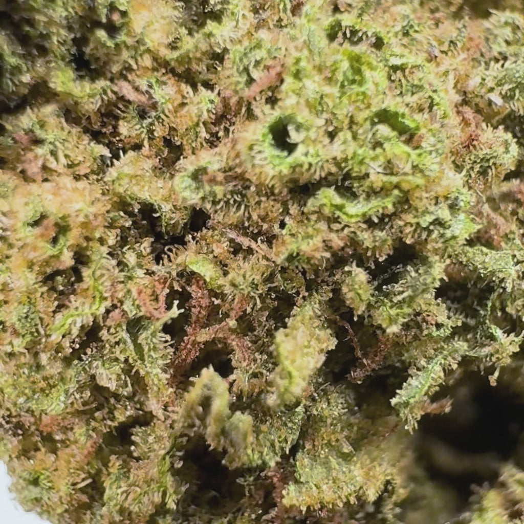 Cannapunch CBD Greenhouse primée