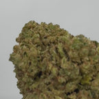 Blue Dream CBD Greenhouse