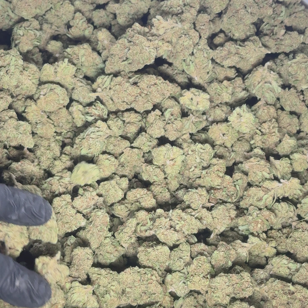 Cherry Pie CBD Indoor